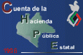 Cuenta Pública 1996